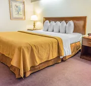 Quality Inn Royle hotel detail image 4