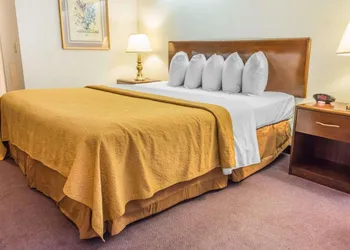 Quality Inn Royle hotel thumbnail 4