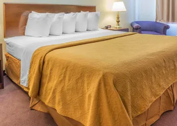 Quality Inn Royle hotel thumbnail 6