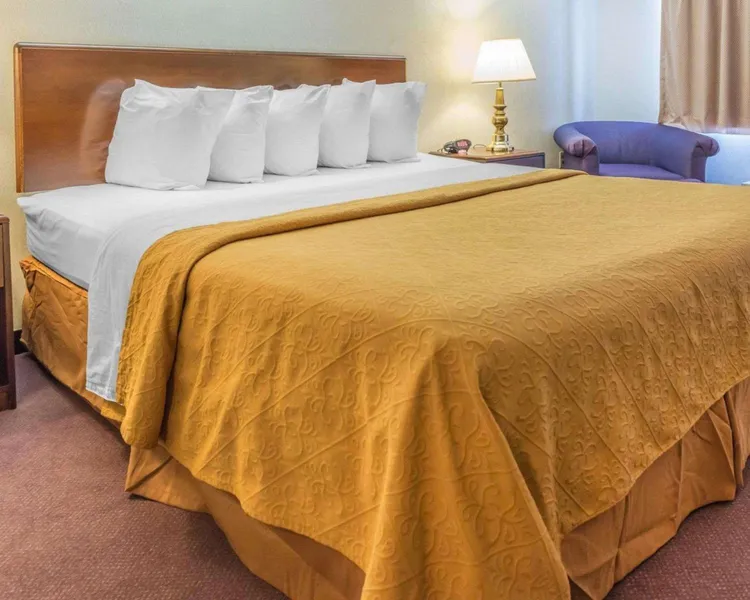Quality Inn Royle hotel detail image 6