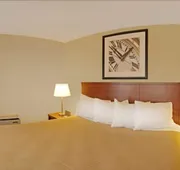 Quality Inn hotel detail image 5