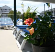 Grecian Gardens Motel hotel detail image 5