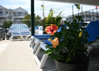 Grecian Gardens Motel hotel thumbnail 5