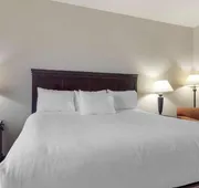 Lake Texoma Inn and Suites to match IHG hotel detail image 4