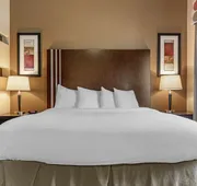 Best Western Plus Texoma Hotel & Suites hotel detail image 7