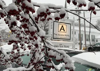 Acadia Hotel - Downtown hotel thumbnail 8