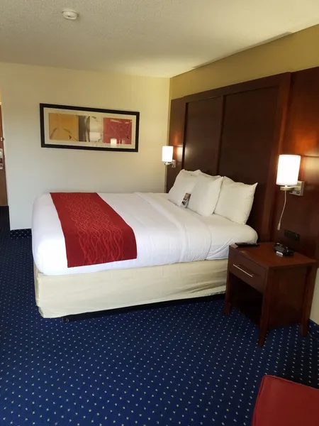 Comfort Inn Laurinburg hotel detail image 6