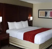 Comfort Inn Laurinburg hotel detail image 7
