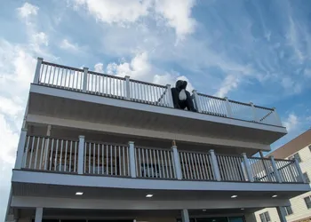 Safari Hotel Boardwalk hotel thumbnail 7