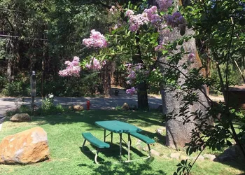 Dunsmuir Lodge hotel thumbnail 2