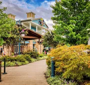 Margaritaville Island Hotel hotel detail image 4