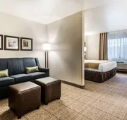 Comfort Suites at Par 4 Resort hotel detail image 7