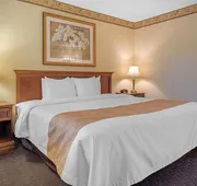 Quality Inn Breeze Manor hotel detail image 7