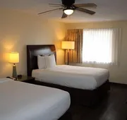 Executive Inn & Suites hotel detail image 5