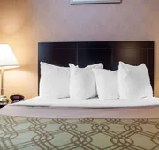 Woodstock Inn and Suites hotel detail image 3