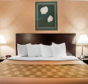 Woodstock Inn and Suites hotel detail image 5
