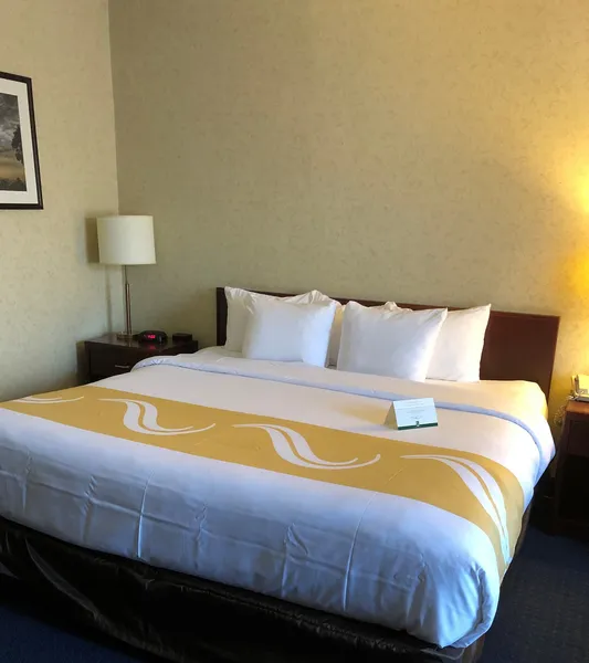 Quality Hotel & Suites Woodstock hotel detail image 6