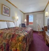 Days Inn by Wyndham Auburn hotel thumbnail 2