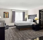 Best Western Saluki Inn hotel detail image 4