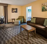 Best Western Plus Yadkin Valley Inn & Suites hotel detail image 4