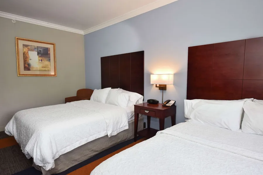 Hampton Inn Alexander City hotel detail image 6