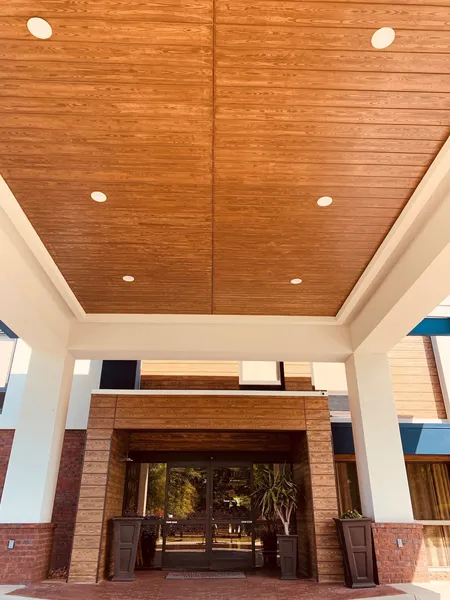 Hampton Inn Greenville hotel detail image 2