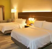 Holiday Inn Express & Suites Douglas by IHG hotel detail image 4