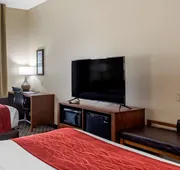 Comfort Inn & Suites Atoka-Millington hotel detail image 5