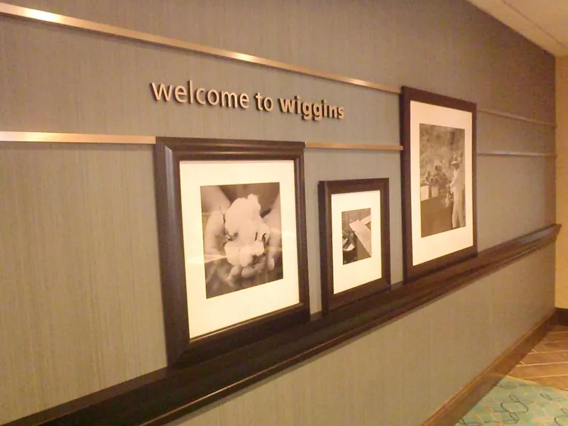 Hampton Inn & Suites Wiggins hotel detail image 2