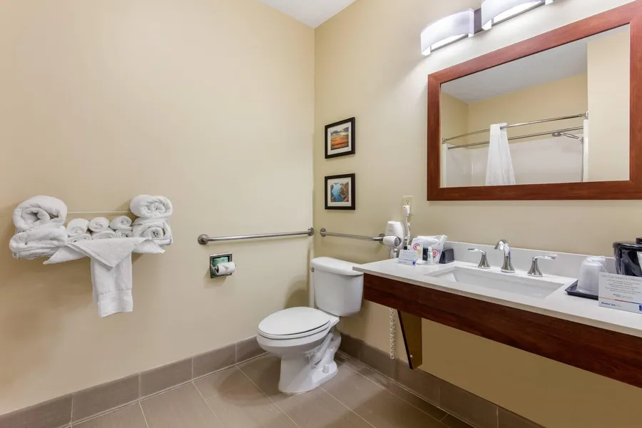 Comfort Inn & Suites McComb hotel detail image 6