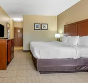 Comfort Inn & Suites McComb hotel detail image 7