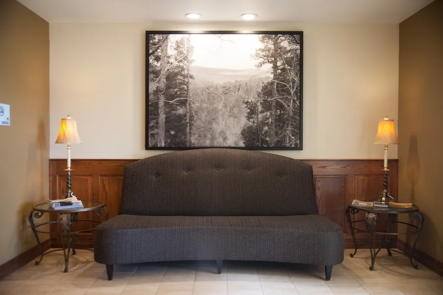 Holiday Inn Express Hotel & Suites Mountain Home by IHG hotel detail image 6