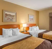 Quality Inn & Suites MidAmerica Industrial Park Area hotel detail image 7