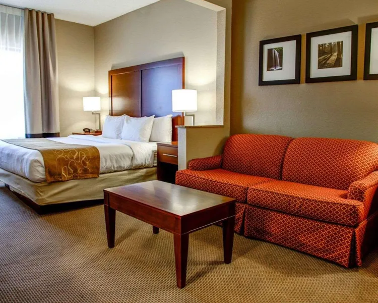 Comfort Suites Gadsden Attalla hotel detail image 6