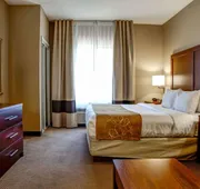 Comfort Suites Gadsden Attalla hotel detail image 7