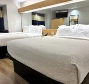 Microtel Inn & Suites by Wyndham Albertville hotel detail image 5