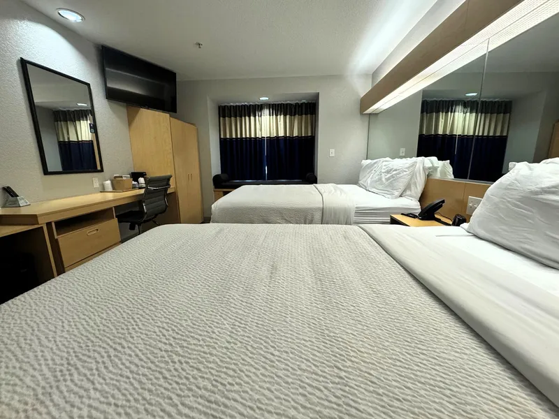 Microtel Inn & Suites by Wyndham Albertville hotel detail image 6