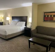 Holiday Inn Express &Suites Snyder by IHG hotel detail image 5