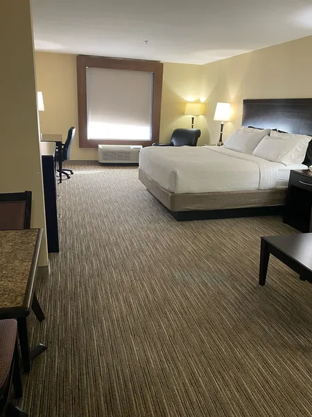Holiday Inn Express &Suites Snyder by IHG hotel detail image 6