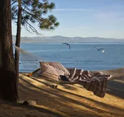 Beach Retreat & Lodge at Tahoe hotel detail image 4