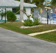 Palm Court Motel hotel detail image 5