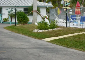 Palm Court Motel hotel thumbnail 5