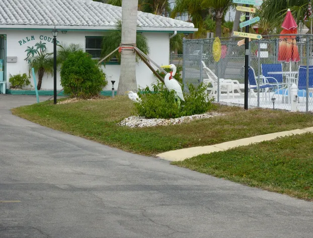 Palm Court Motel hotel detail image 4