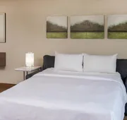 Delta Hotels by Marriott Chesapeake Norfolk hotel detail image 4