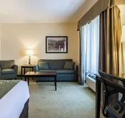 Comfort Suites Gothenburg South hotel detail image 7