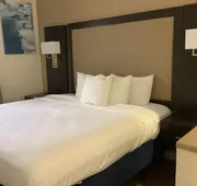 Best Western Plus Madison hotel detail image 4