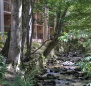 Hampton Inn Gatlinburg hotel detail image 3