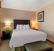 Best Western Bonnyville Inn & Suites hotel detail image 7