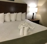 Dinosaur Inn & Suites hotel detail image 5