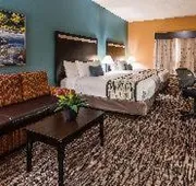Best Western Plus McDonough Inn & Suites hotel detail image 3
